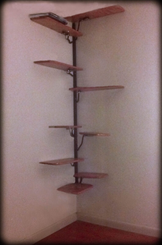 Built in corner shelves inspired by the African Adansonia tree. Steel and plywood