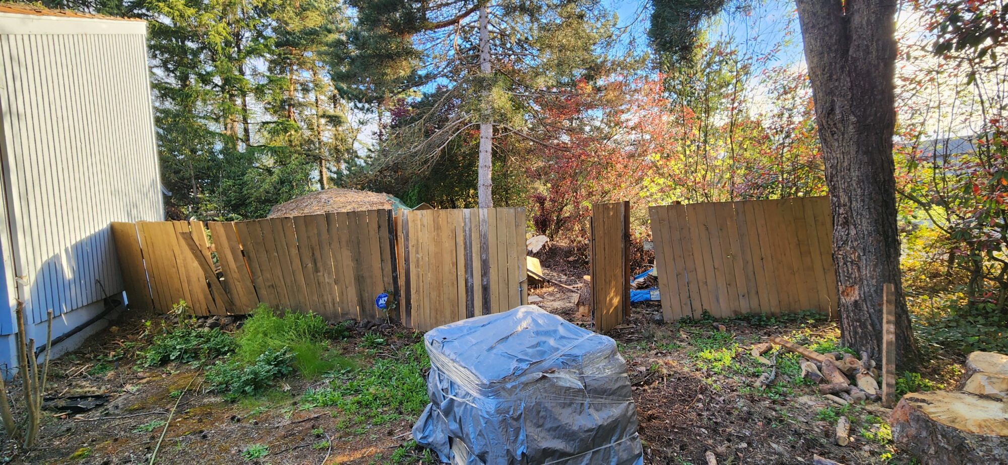 before image, fence and gate, cedar, falling apart